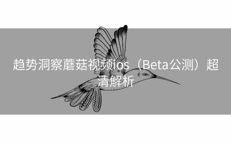 趋势洞察蘑菇视频ios（Beta公测）超清解析