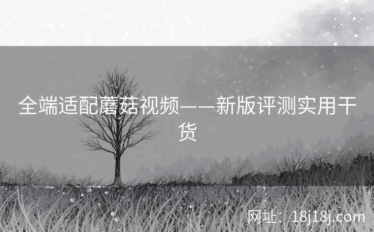 全端适配蘑菇视频——新版评测实用干货