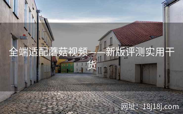 全端适配蘑菇视频——新版评测实用干货