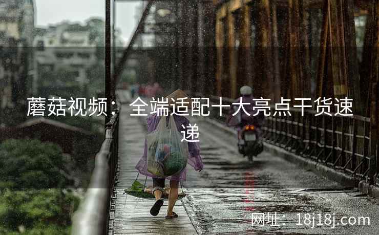 蘑菇视频：全端适配十大亮点干货速递