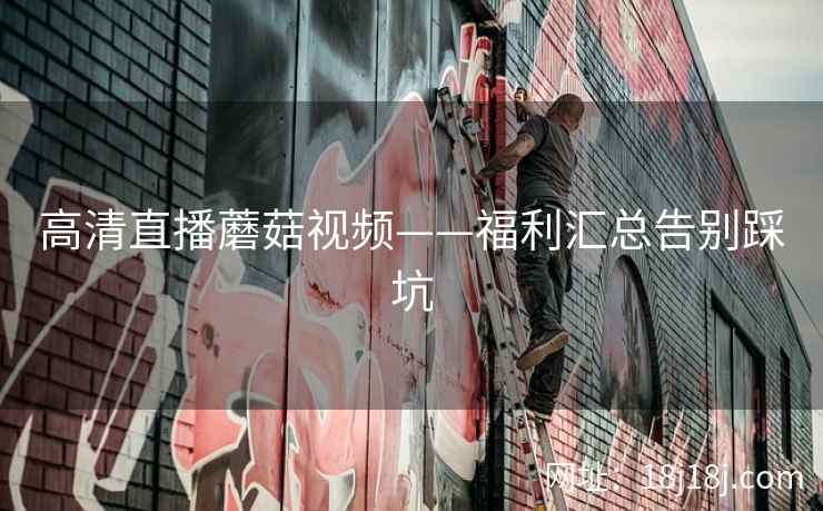 高清直播蘑菇视频——福利汇总告别踩坑