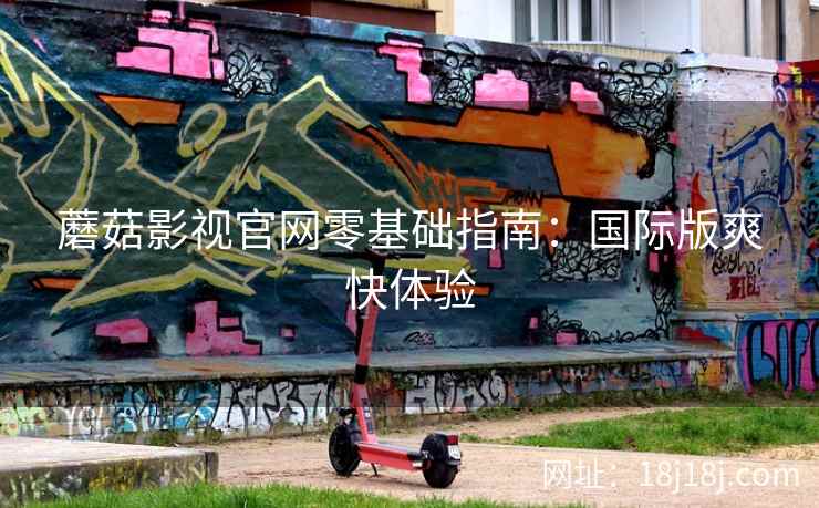 蘑菇影视官网零基础指南：国际版爽快体验