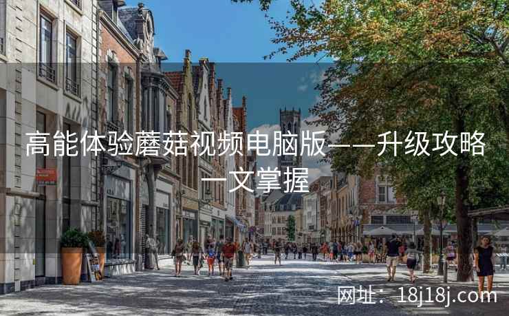 高能体验蘑菇视频电脑版——升级攻略一文掌握