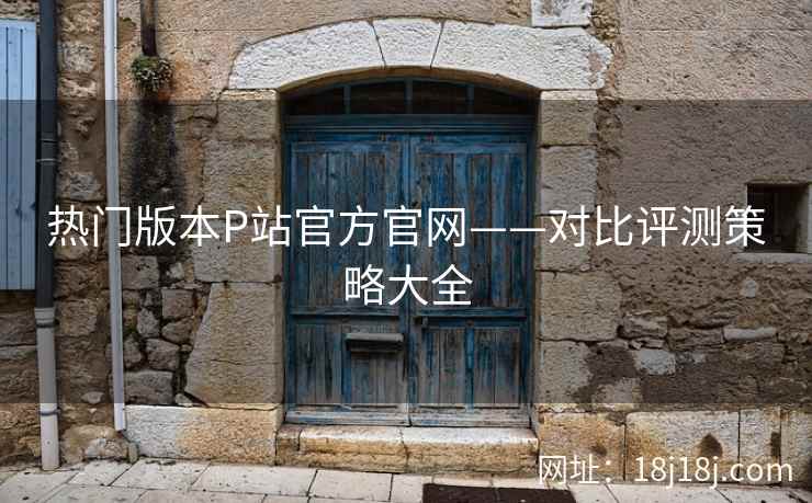 热门版本P站官方官网——对比评测策略大全  第2张