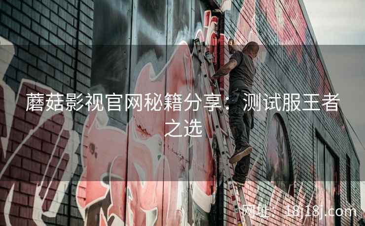 蘑菇影视官网秘籍分享：测试服王者之选  第1张