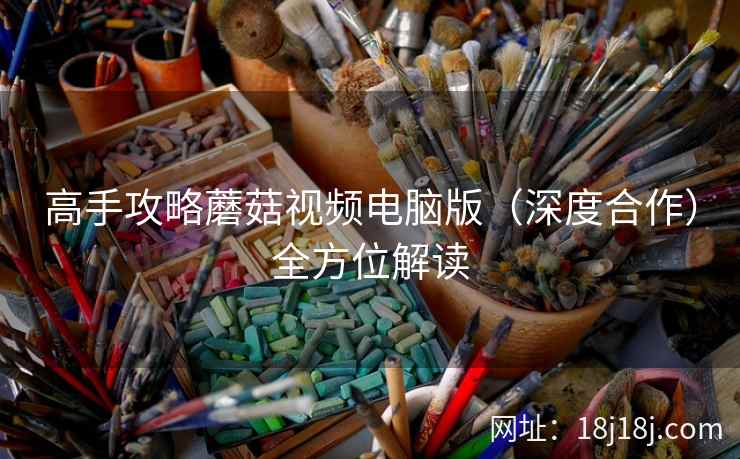 高手攻略蘑菇视频电脑版（深度合作）全方位解读