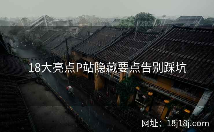 18大亮点P站隐藏要点告别踩坑
