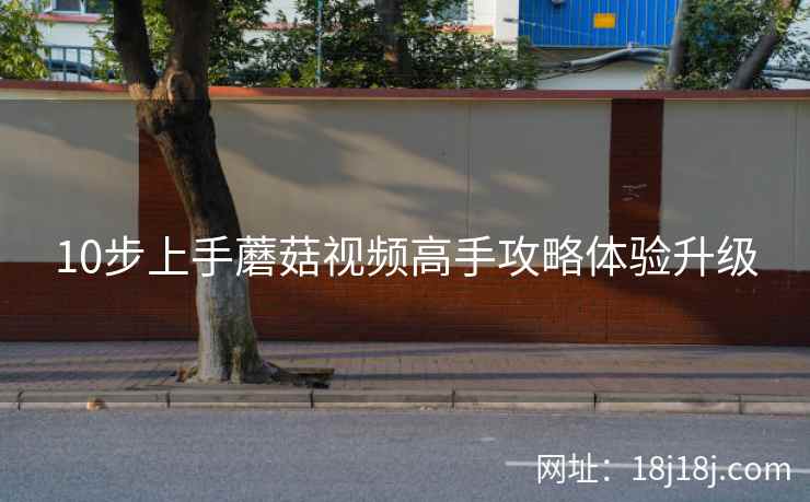 10步上手蘑菇视频高手攻略体验升级