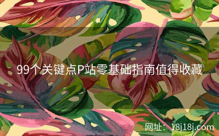 99个关键点P站零基础指南值得收藏
